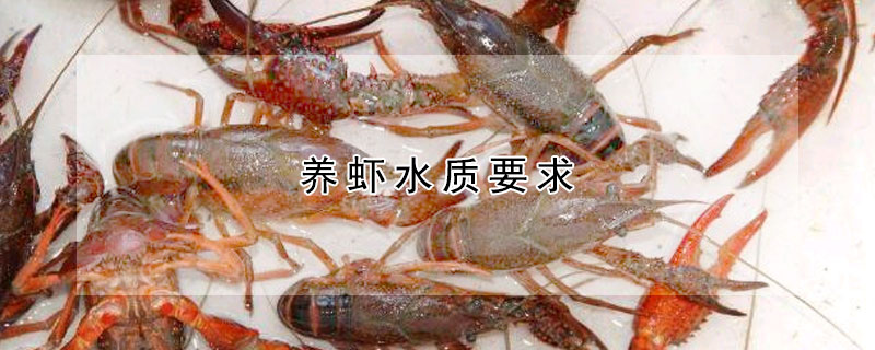 养虾水质要求