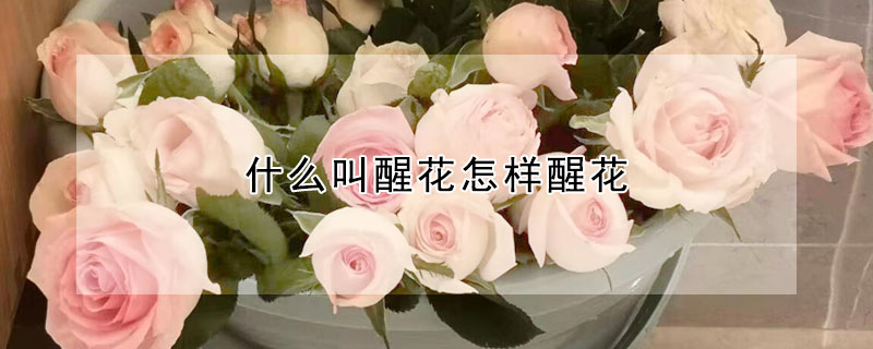 什么叫醒花怎样醒花