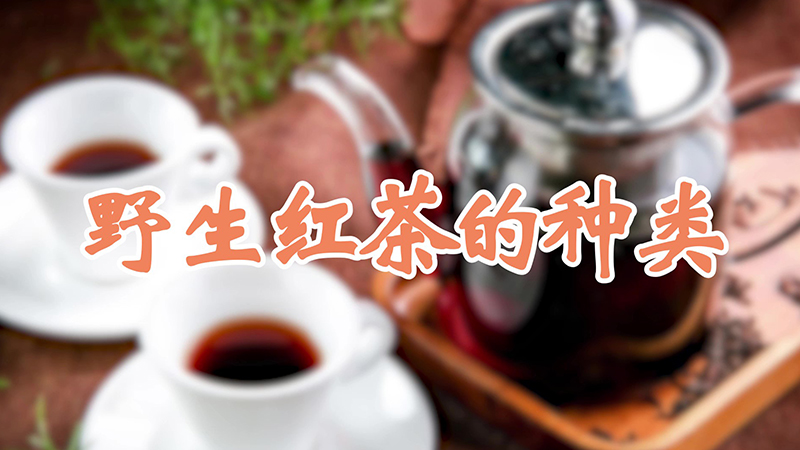 野生红茶的种类