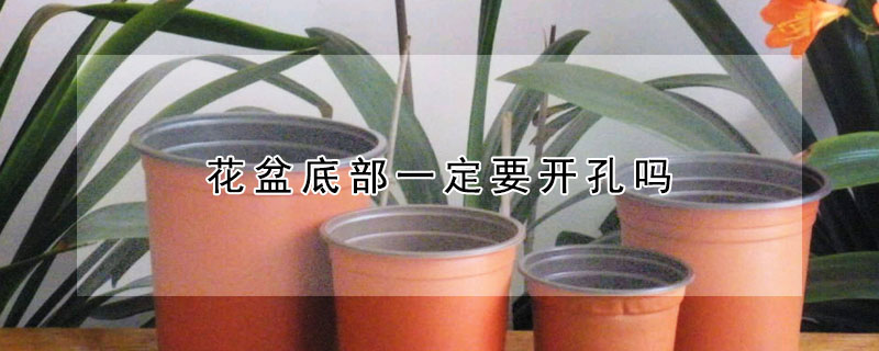 花盆底部一定要开孔吗