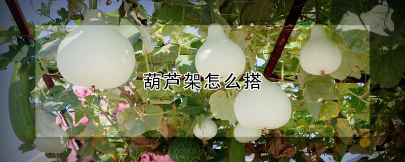 葫芦架怎么搭