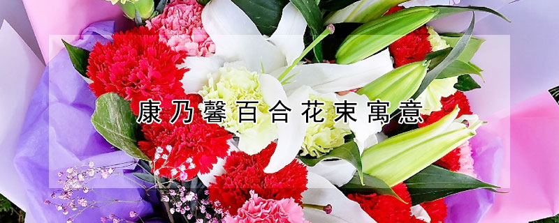 康乃馨百合花束寓意