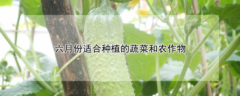 植物大战僵尸3汉化中文版下载(植物大战僵尸3下载)中文版下载