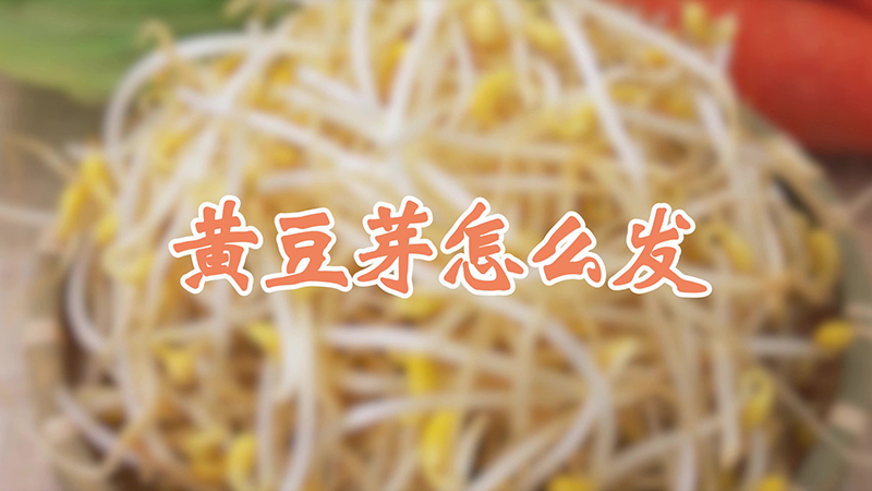 黄豆芽怎么发