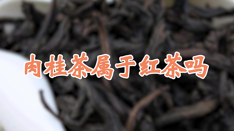 肉桂茶属于红茶吗