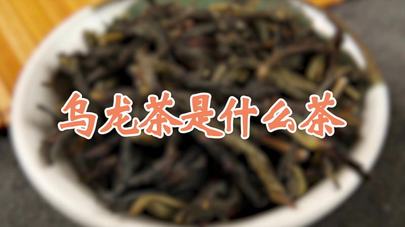 乌龙茶是什么茶