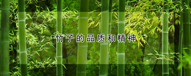 竹子的品质和精神