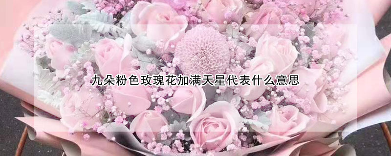 九朵粉色玫瑰花加满天星代表什么意思