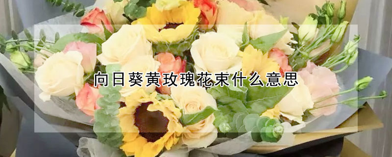 向日葵黄玫瑰花束什么意思