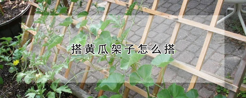 搭黄瓜架子怎么搭 —【发财农业网】