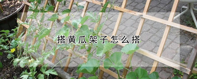 搭黄瓜架子怎么搭