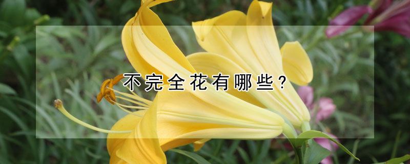 不完全花有哪些?