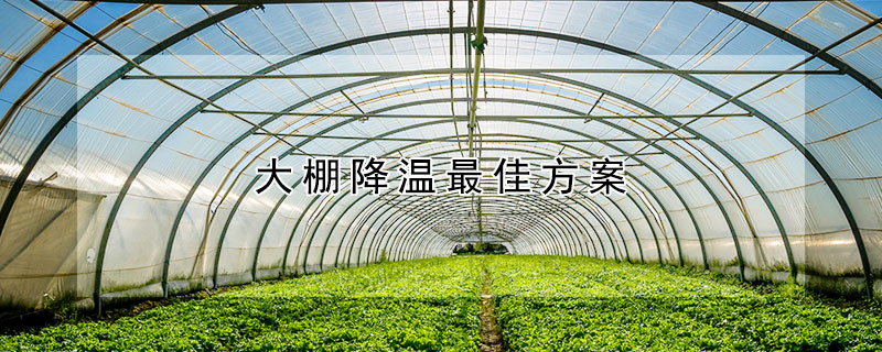 大棚降温最佳方案