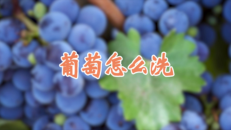 葡萄怎么洗