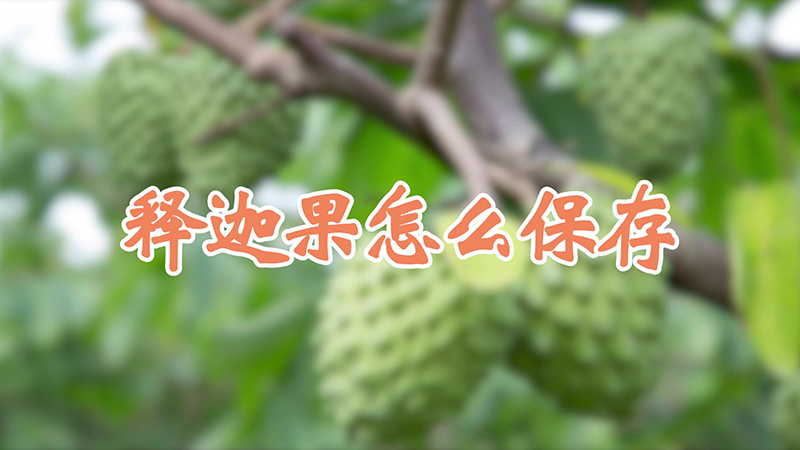 释迦果怎么保存