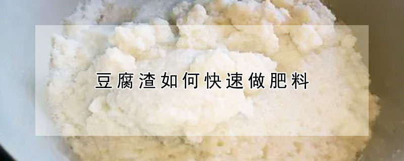 豆腐渣如何快速做肥料