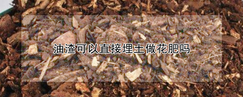 油渣可以直接埋土做花肥吗