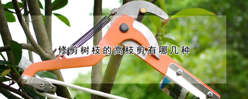 修剪树枝的高枝剪有哪几种