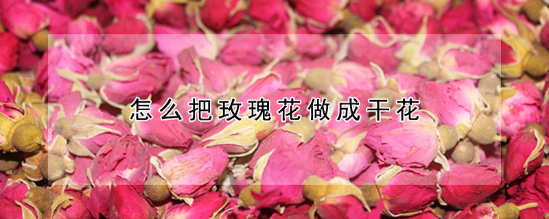 怎么把玫瑰花做成干花