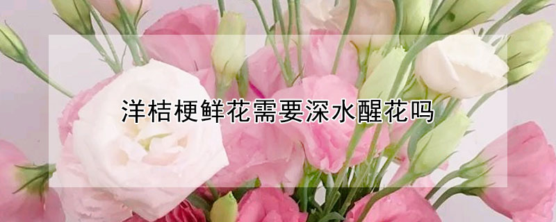 洋桔梗鲜花需要深水醒花吗