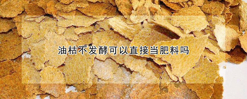 油枯不发酵可以直接当肥料吗