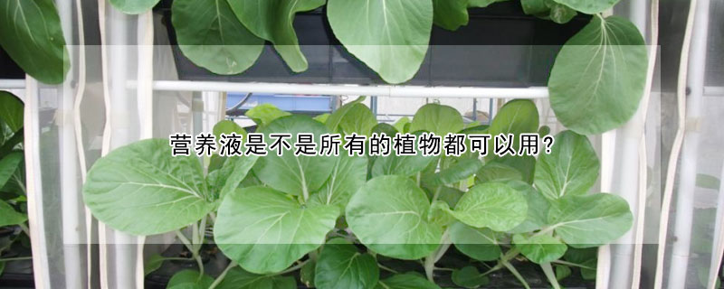 营养液是不是所有的植物都可以用?