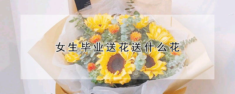 女生毕业送花送什么花