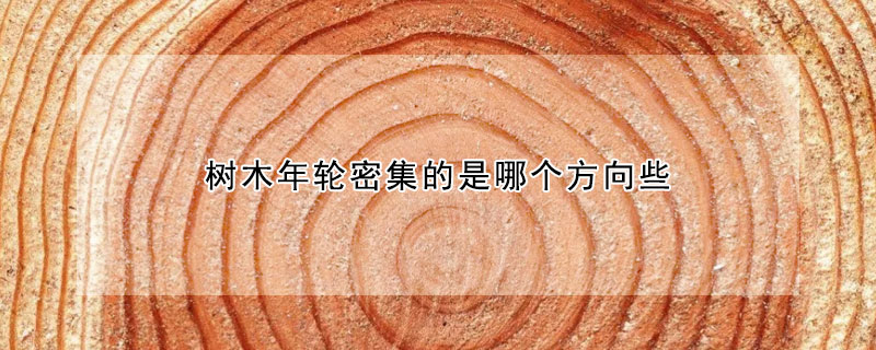 树木年轮密集的是哪个方向