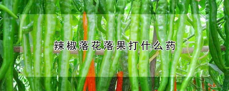 辣椒落花落果打什么药