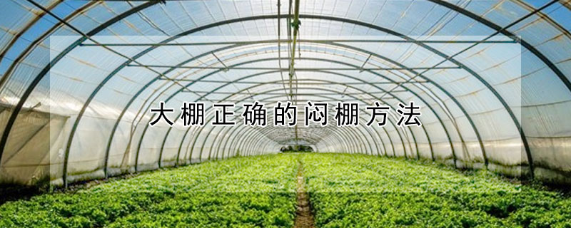 大棚正确的闷棚方法