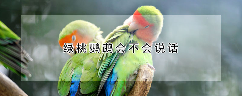 绿桃鹦鹉会不会说话