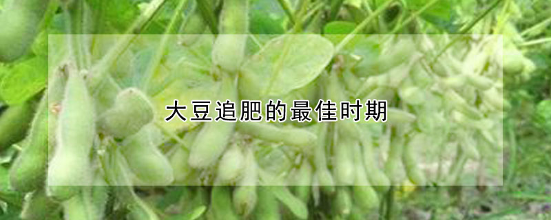 大豆追肥的最佳时期