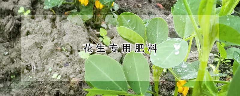 花生专用肥料