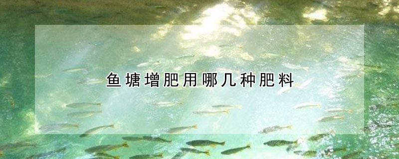 鱼塘增肥用哪几种肥料