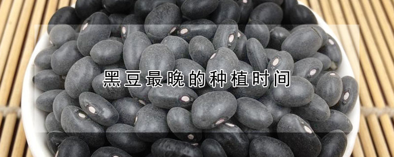 黑豆最晚的种植时间