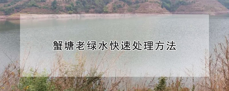 蟹塘老绿水快速处理方法