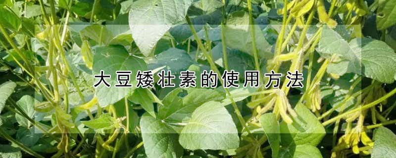 大豆矮壮素的使用方法