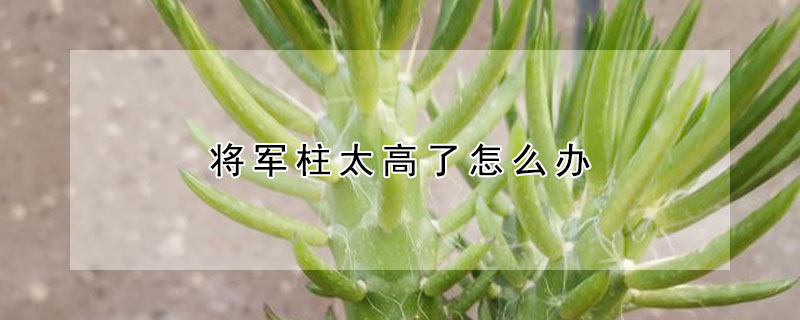 将军柱太高了怎么办