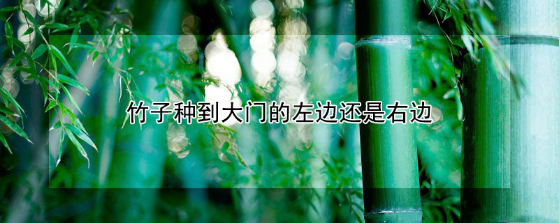 竹子种到大门的左边还是右边