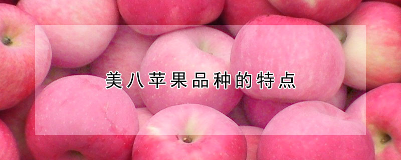 美八苹果品种的特点