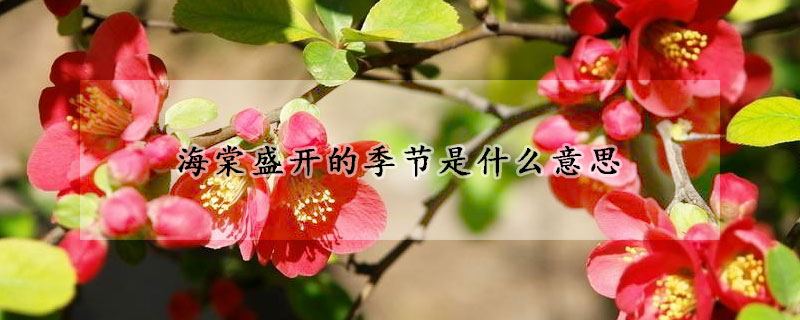 海棠盛开的季节是什么意思