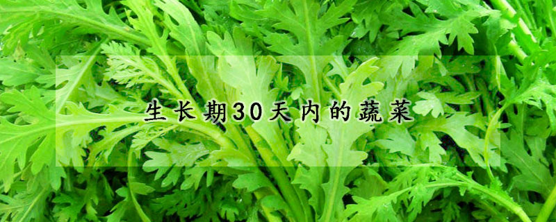 生长期30天内的蔬菜