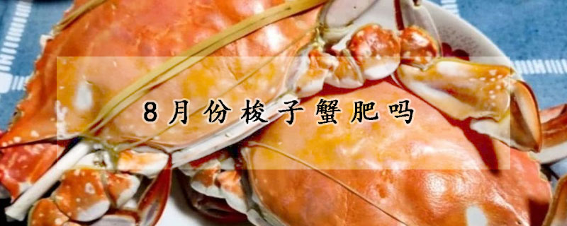 8月份梭子蟹肥吗