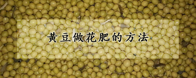 黄豆做花肥的方法