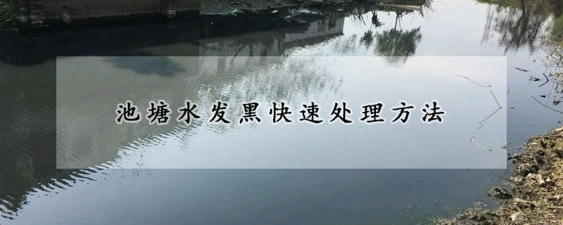 池塘水发黑快速处理方法