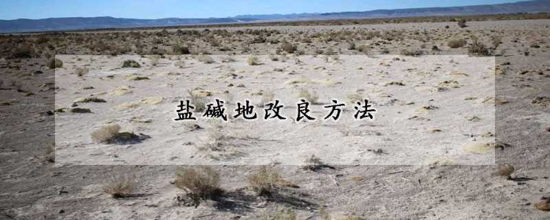 盐碱地改良方法