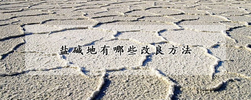 盐碱地有哪些改良方法