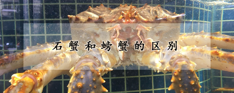 石蟹和螃蟹的区别