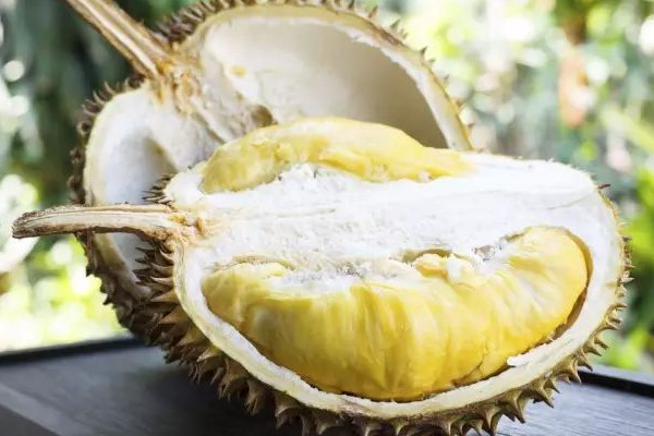 榴莲多少钱一个 榴莲价格70-200元/个