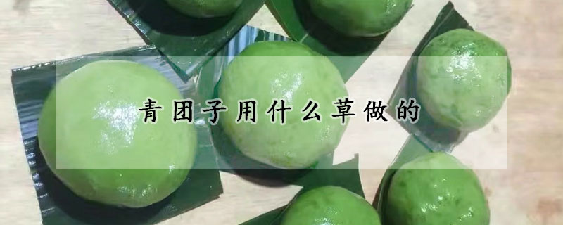 青团子用什么草做的